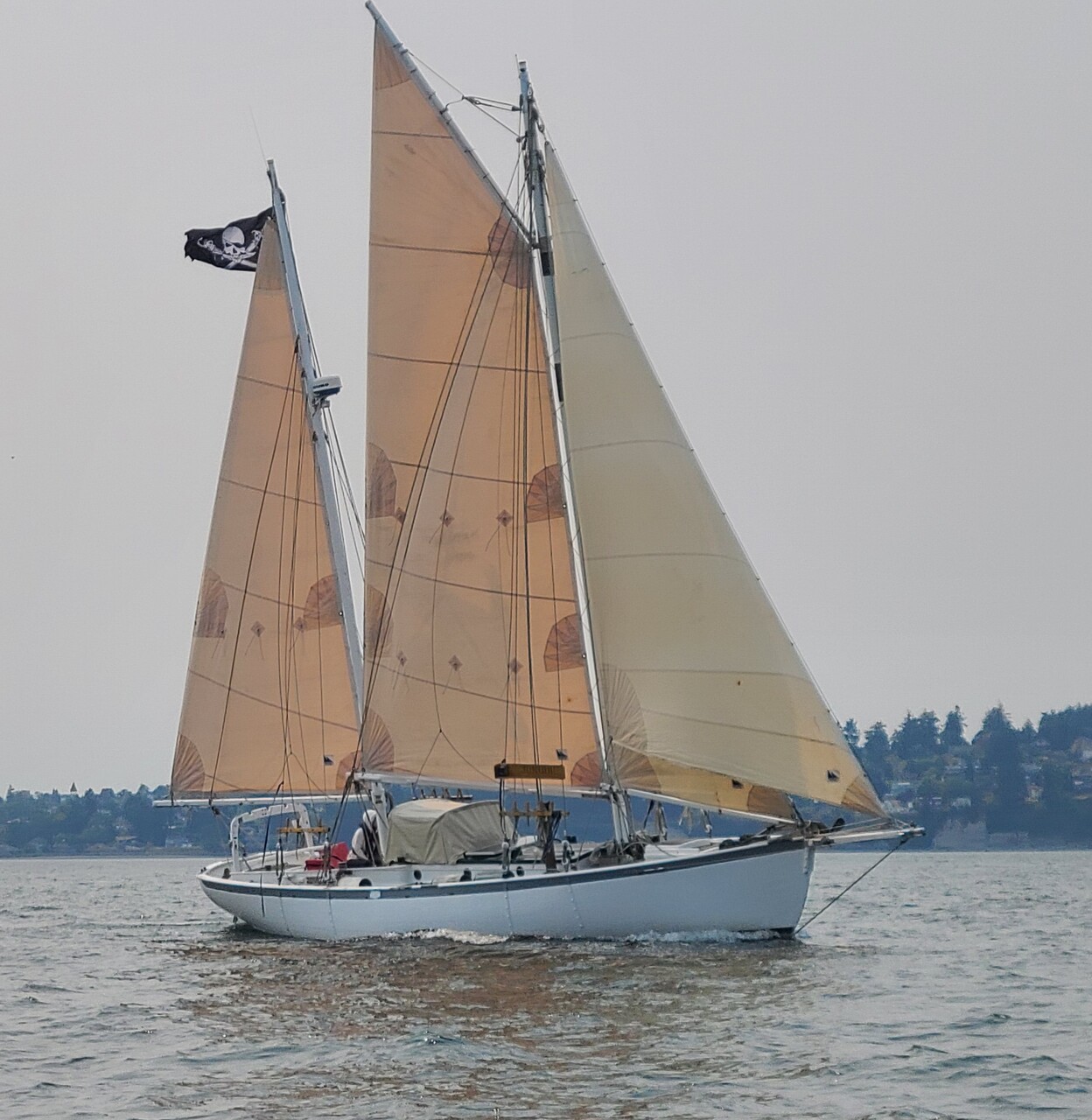 1986 Atkin Jonquil — For Sale — Sailboat Guide