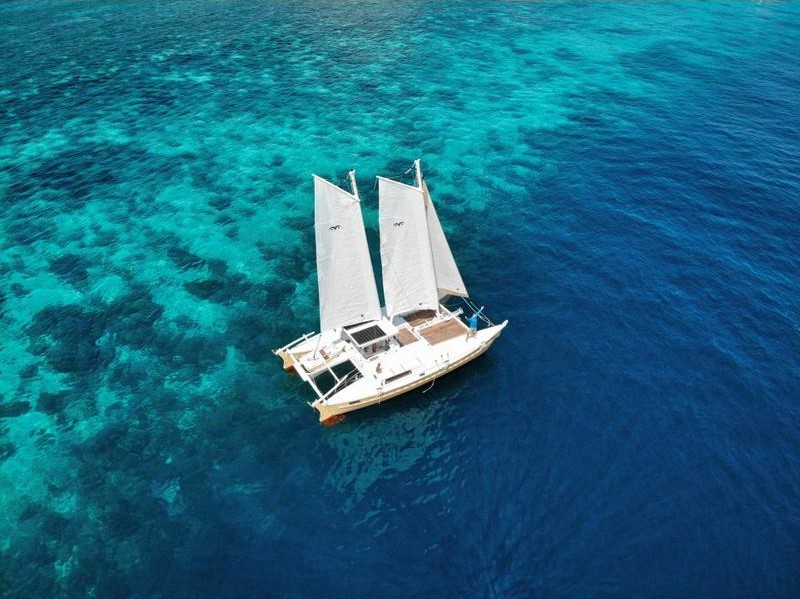 2019 Wharram Tiki 38 — For Sale — Sailboat Guide