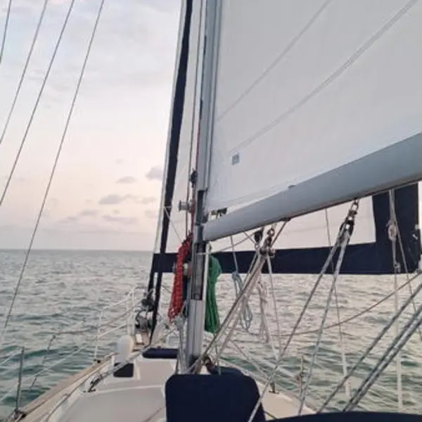Photo 3 of 1998 Island Packet 350 Cutter