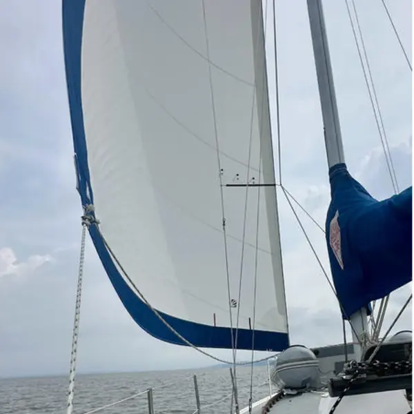 Photo 3 of 1990 Catalina 36