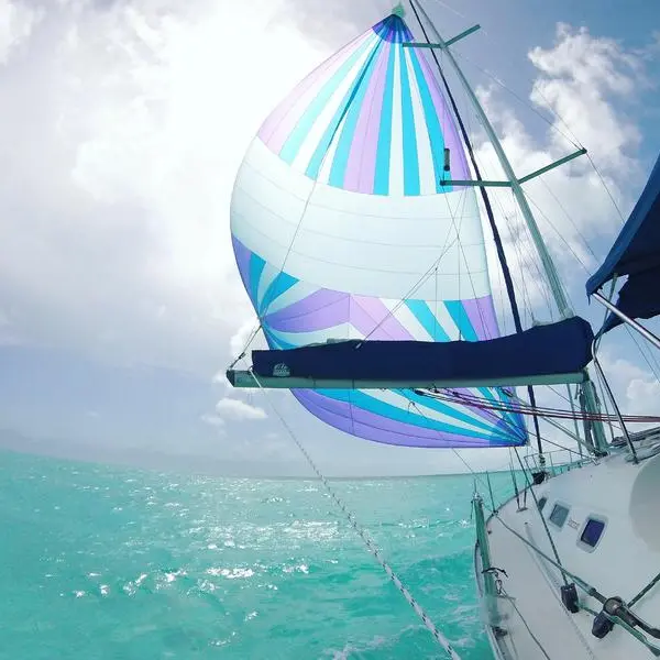 Photo 8 of 2002 Beneteau 393