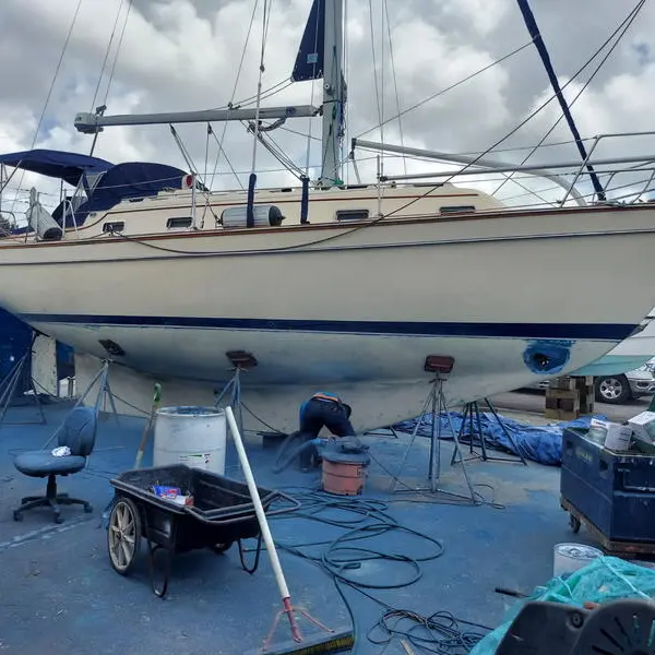 Photo 1 of 1998 Island Packet 350 Cutter