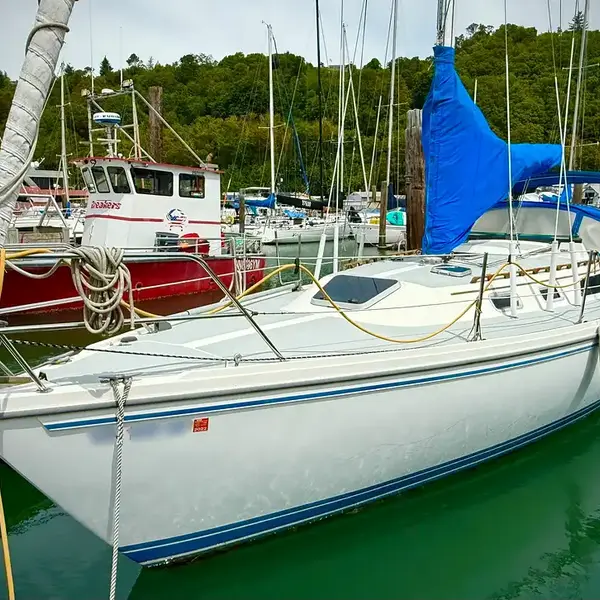 Photo 1 of 1989 Catalina 36