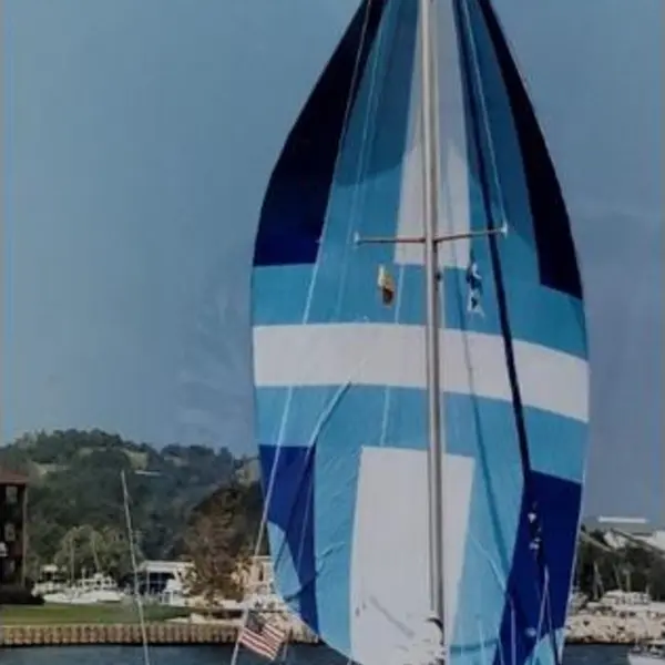 Photo 8 of 1982 Catalina Standard Rig
