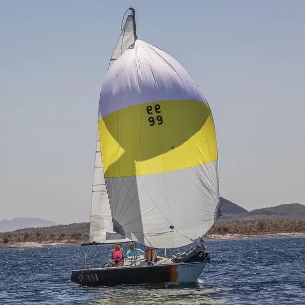 Photo 5 of 1977 WD Schock Santana 20