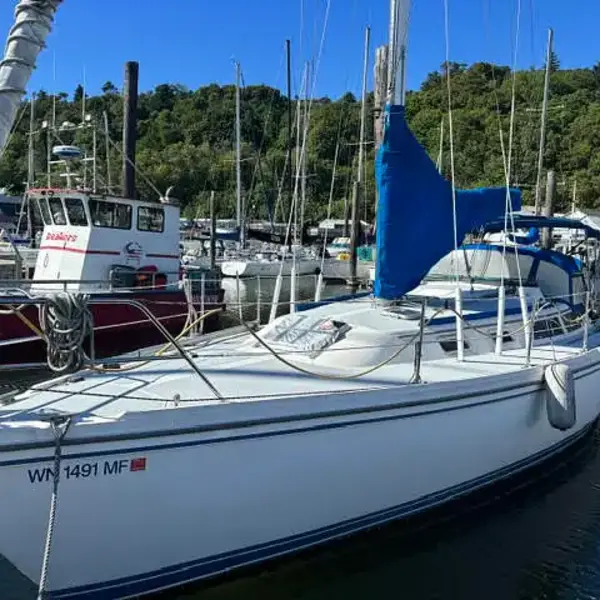 Photo 1 of 1989 Catalina 36