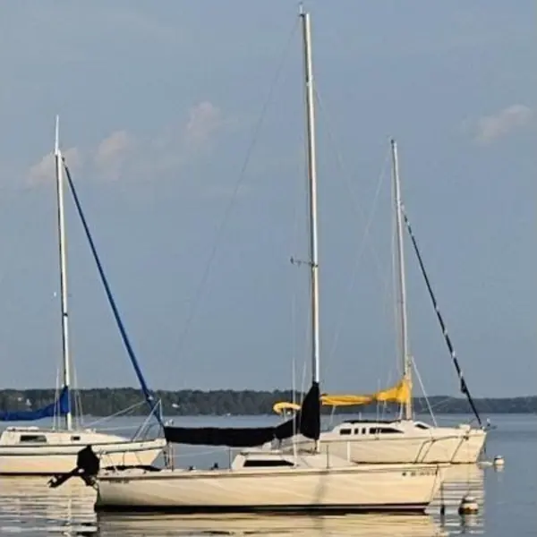 Photo 7 of 1987 Catalina Capri 22