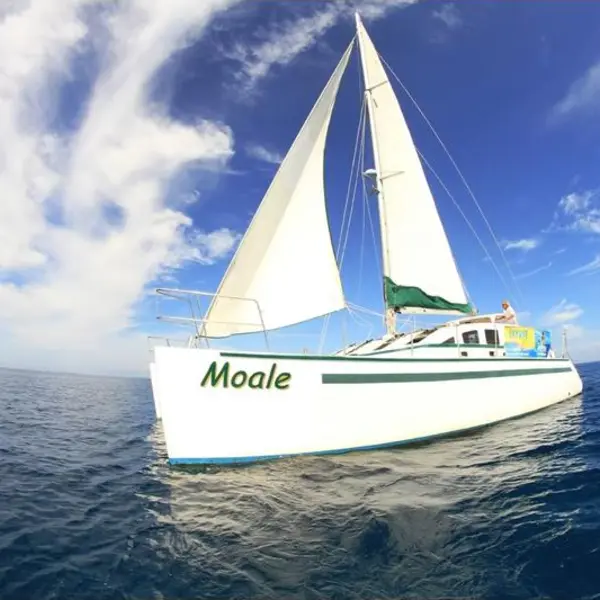 Photo 1 of 1997 Type Simpson 14m Performance Design Sail/Power Sloop rigged cruising catamaran
