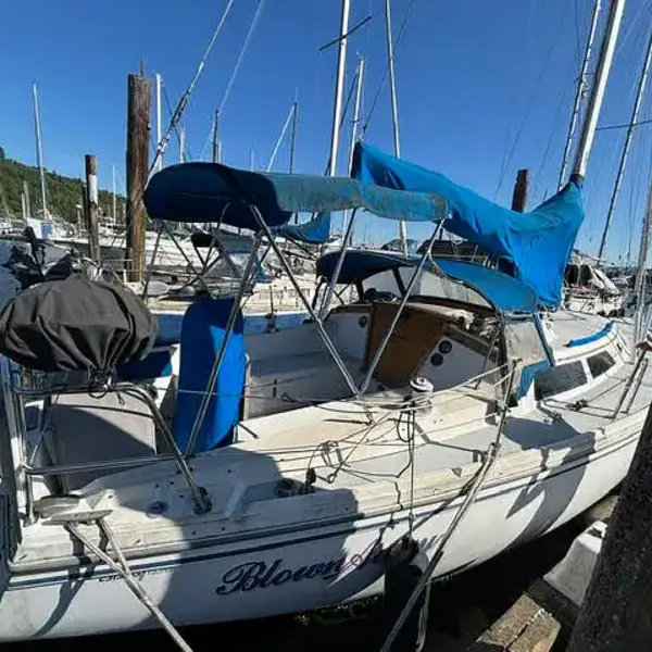 Photo 4 of 1989 Catalina 36