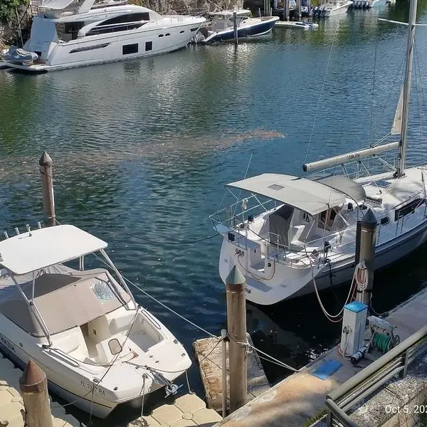 Photo of 2019 Catalina 355