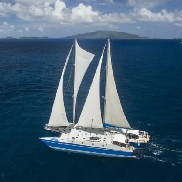 Photo 9 of 1987 Custom Trimaran