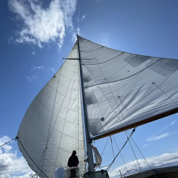 Photo 2 of 1975 Sailing Anarchy