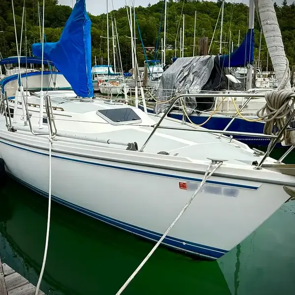 Photo 5 of 1989 Catalina 36
