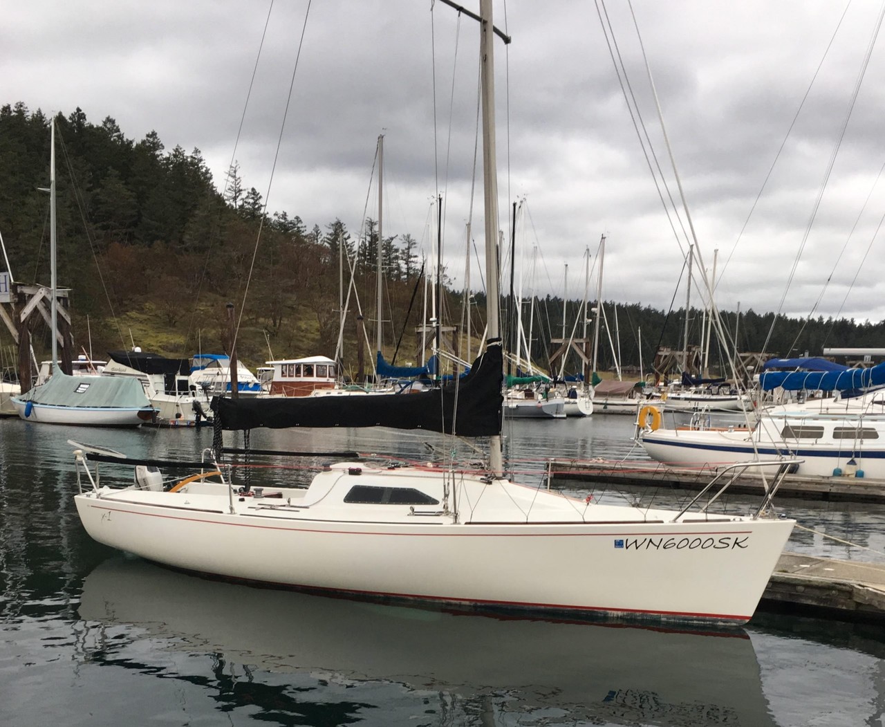 B 25 shop sailboat for sale